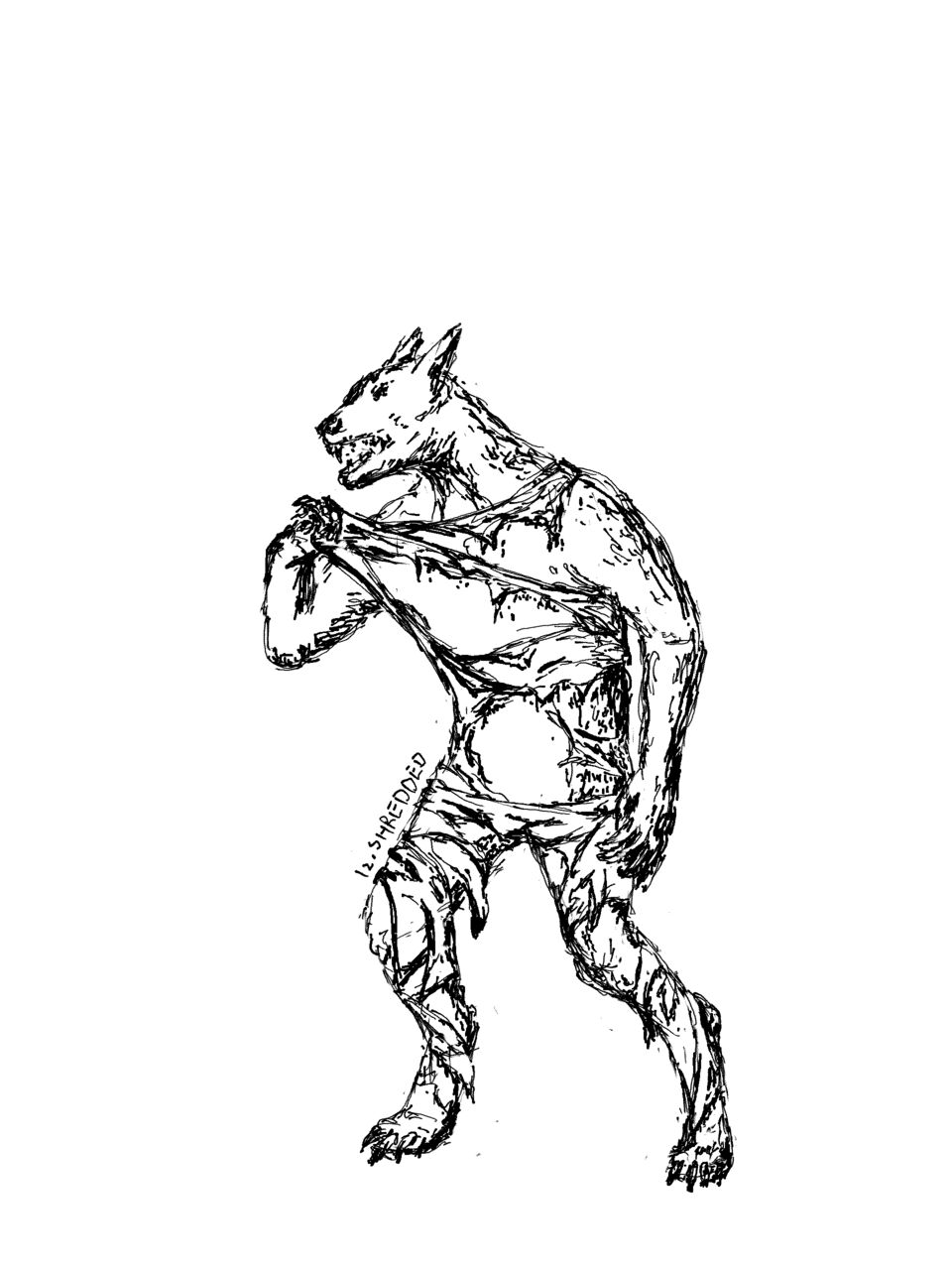 A werewolf pulling at its tattered former clothes